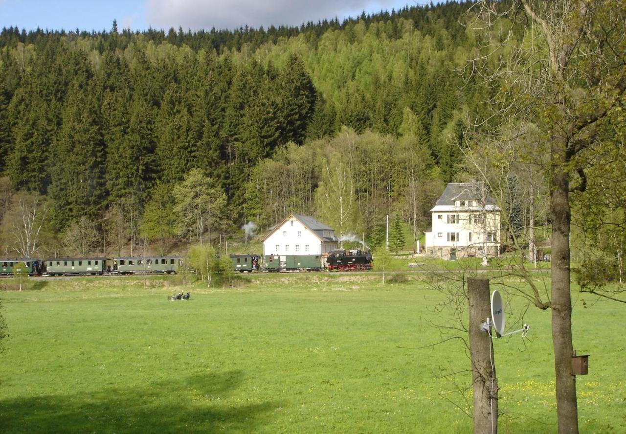 Ferienwohnung Schmalzgrube Johstadt Luaran gambar