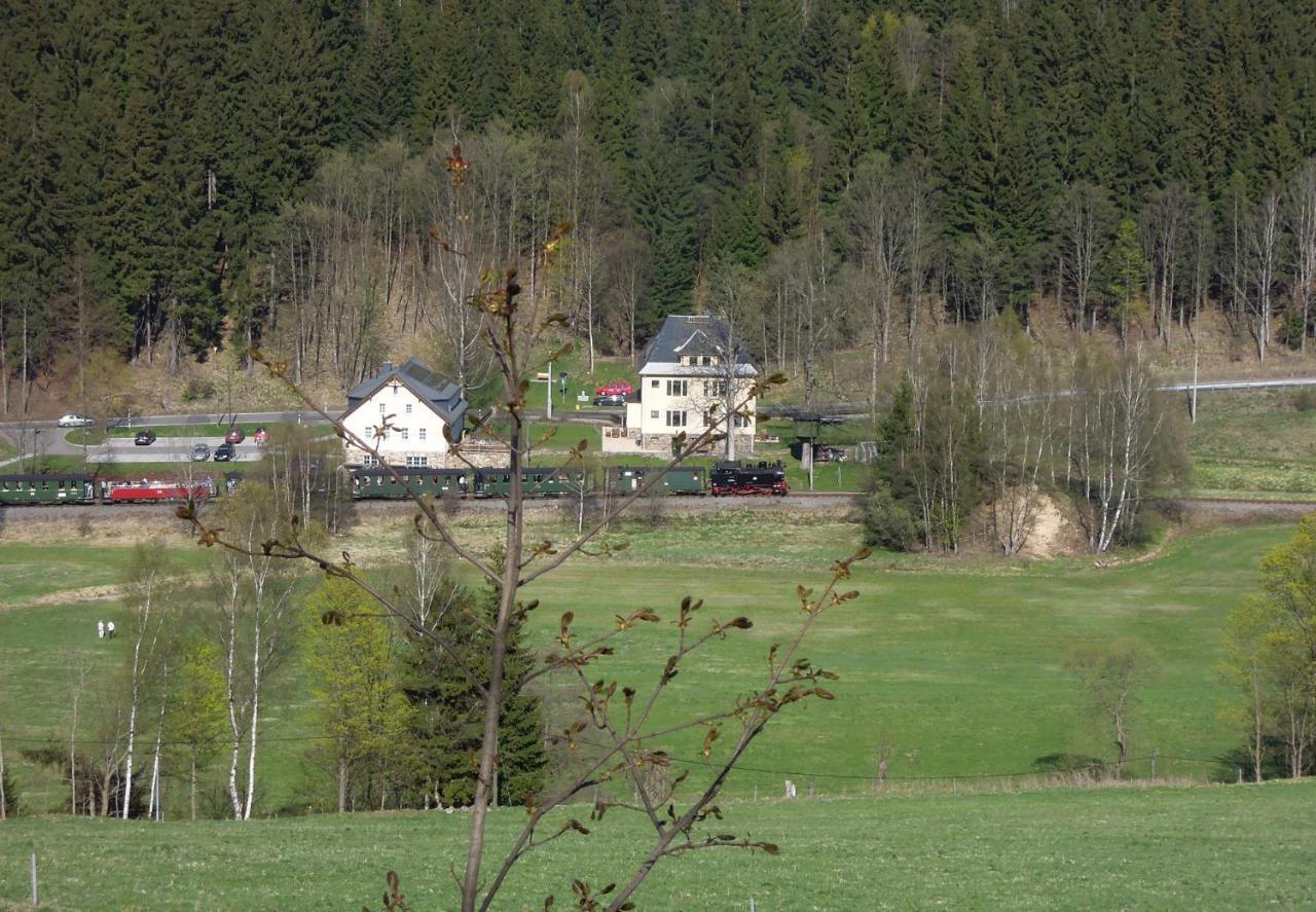 Ferienwohnung Schmalzgrube Johstadt Luaran gambar